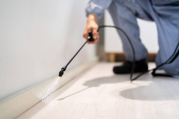 Bed Bug Pre-Treatment Preparation Assessment in Glenwood City