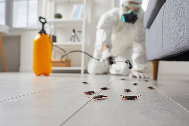 Post-Treatment Bed Bug Interceptor Monitoring in Glenwood City