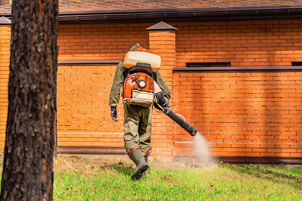 Bed Bug Clearance Verification and Documentation in Glenwood City